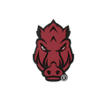 Budz | Arkansas Razorbacks image 1