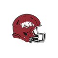 Budz | Arkansas Razorbacks image 1