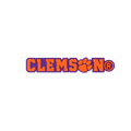 Budz | Clemson Tigers image 1