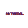 Budz | Clemson Tigers image 1