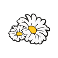 Budz | Daisies image 1