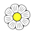 Budz | Daisy image 1