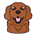 Budz | Retriever image 1