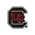 Budz | South Carolina Gamecocks image 1