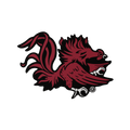 Budz | South Carolina Gamecocks image 1
