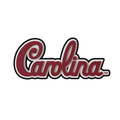 Budz | South Carolina Gamecocks image 1