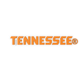 Budz | Tennessee Vols image 1