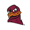 Budz | Virginia Tech Hokies image 1